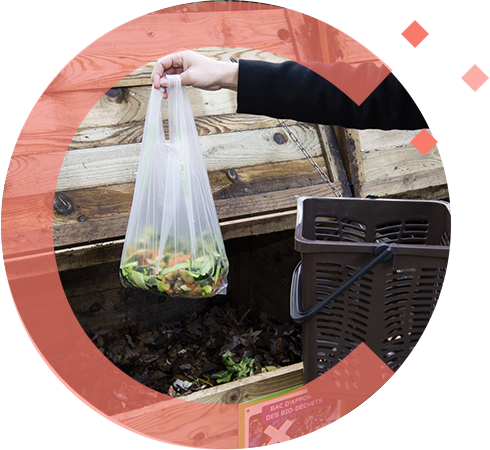 végéos sacs biosourcés sacs biodégradables et compostables en compostage domestique 2